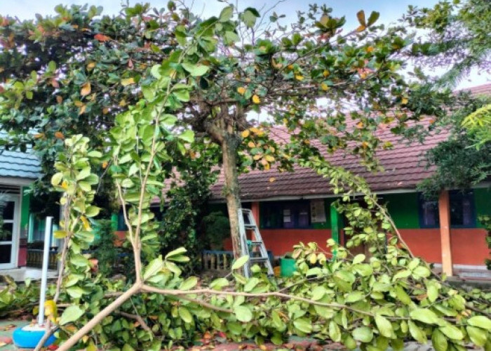 Sambut Ramadan 1447 H, Gelar Gotong Royong Bersihkan Lingkungan Sekolah