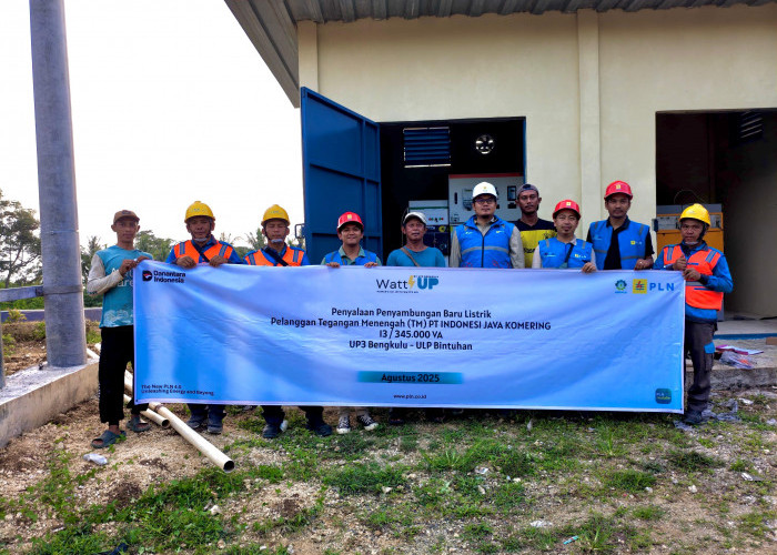 PLN Hadirkan Listrik Andal untuk Tambak Udang di Bengkulu, Kado Spesial Jelang Hari Pelanggan Nasional