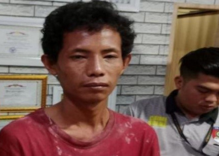 Pembunuh Sadis Ibu dan Anak di Palembang Diamankan, Ini Tampangnya