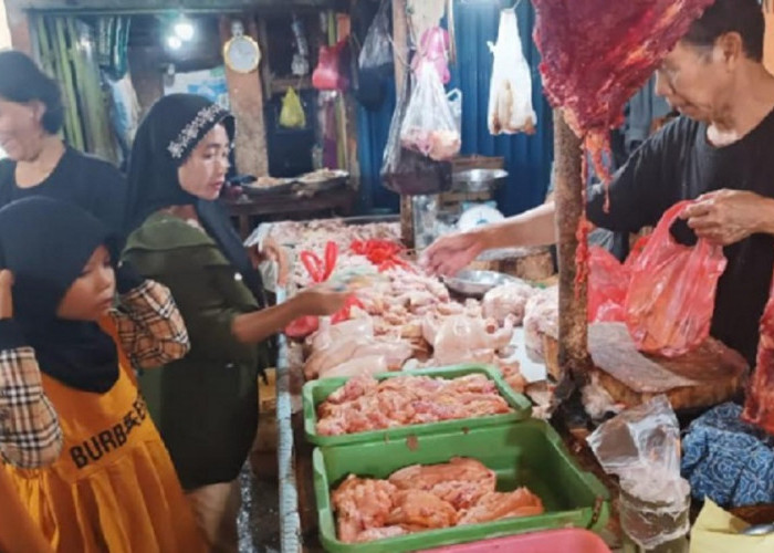 Harga Ayam di Pasar Tradisional Baturaja Berangsur Normal 