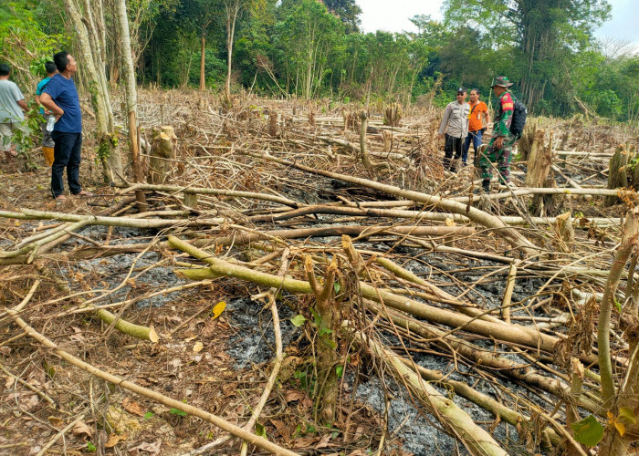 Polisi Temukan Lahan Terbakar di Semidang Aji OKU 