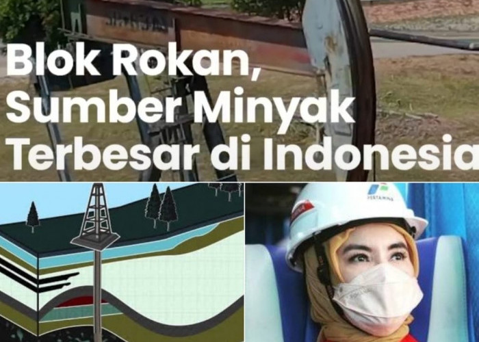 Ini Salah Satu Cara Pertamina Memburu Target 1 Juta Barel Minyak Bumi Per Hari