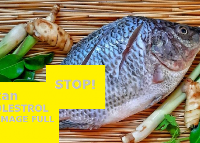 Jenis Ikan yang Tidak Boleh di Konsumsi Penderita Kolestrol, Ini 5 Diantaranya