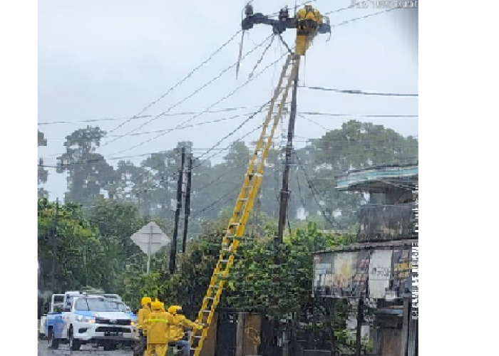 Hujan Deras Landa Lahat, PLN ULP Lembayung Berjibaku Pulihkan Kelistrikan Pelanggan