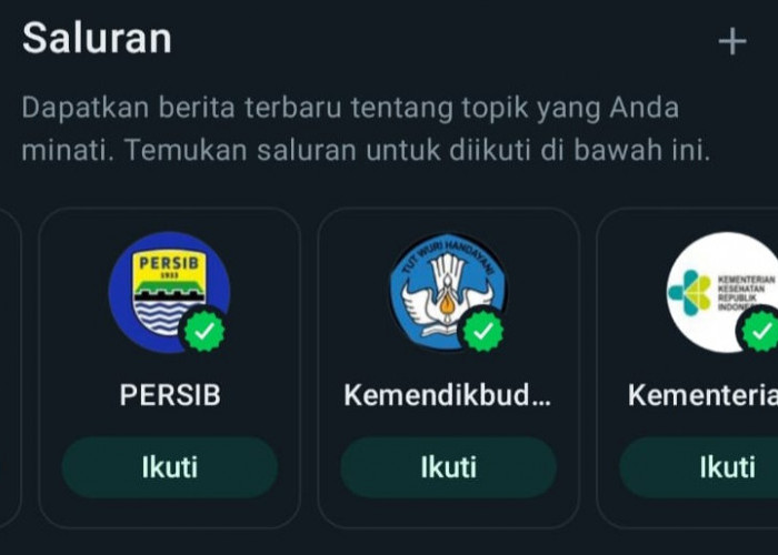 Fitur Pembaruan WA Saluran WhatsApp Sudah Tampil, Ini Alasannya