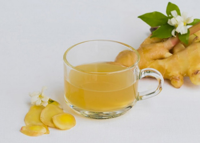 Tips Minuman Sederhana Agar Tidak Mual Saat Perjalanan Jauh