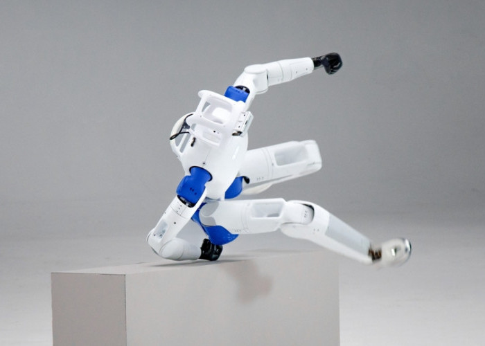 Apa Itu Robot Humanoid RP1? Spesifikasi, Fitur, dan Ketersediaannya