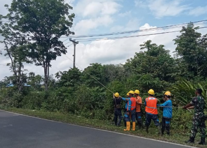 PLN Imbau Warga Waspada Aktivitas Berbahaya di Sekitar Jaringan Listrik
