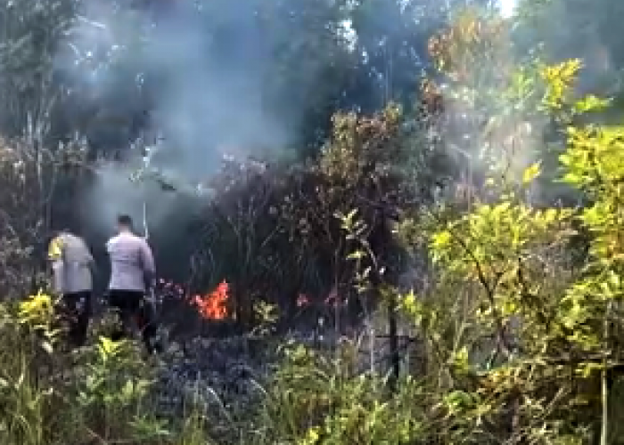 Kebakaran Hanguskan Sekitar 4 Hektare Lahan di Jalur PLTU Terusan Baturaja