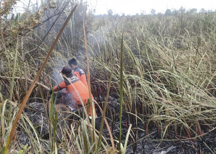 Hingga Februari 2023, Sudah 2,5 Hektare Lahan di Ogan Ilir Terbakar