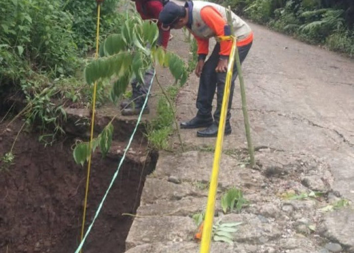 Hujan Deras Membuat Jalan Desa Tenang Longsor Sepanjang 35 Meter