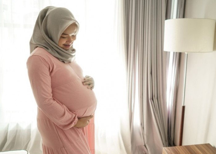 10 Rekomendasi Makanan untuk Meningkatkan Kesuburan, Cocok bagi yang Program Hamil