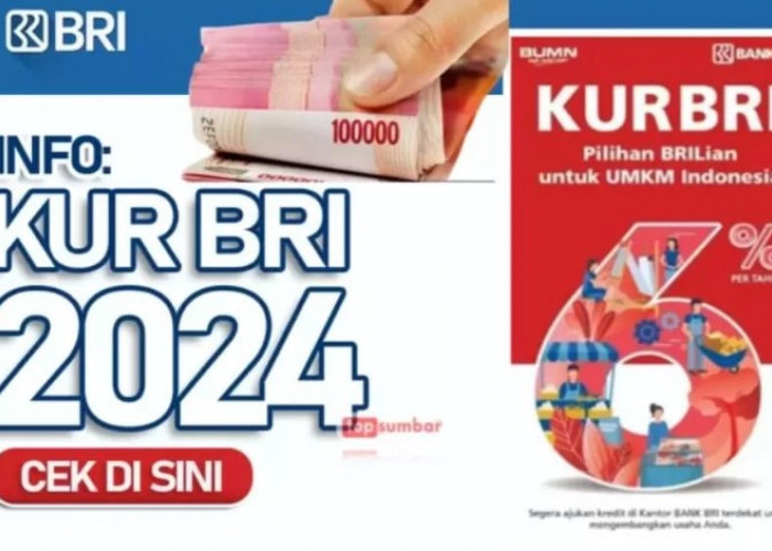 KUR BRI, Jadi 