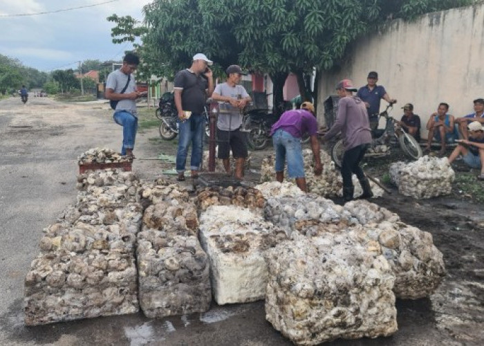 Getah Karet Tembus Rp 12.500 di OKU Timur, Petani Harap Harga Tak Turun