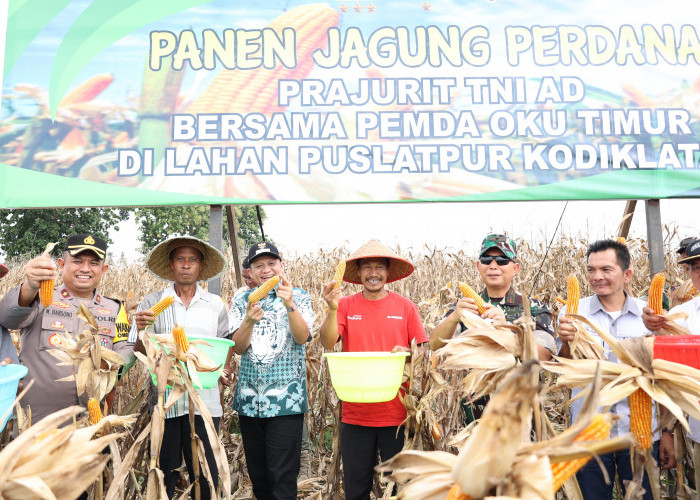 Lakukan Panen Raya Jagung, Dukung Program Swasembada Pangan  