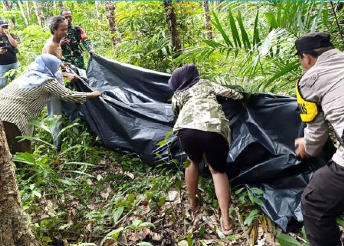 Geger! Warga OKU Timur Temukan Jasad Petani di Tengah Kebun Karet