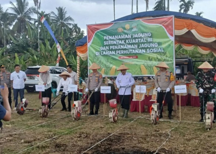 Dukung Ketahanan Pangan, Polres OKU Selatan Tanam Jagung