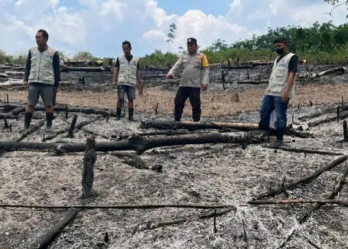 Terdeteksi Melalui Satelit SNPP/VIIRS Temukan Bekas Kebun Jagung Terbakar
