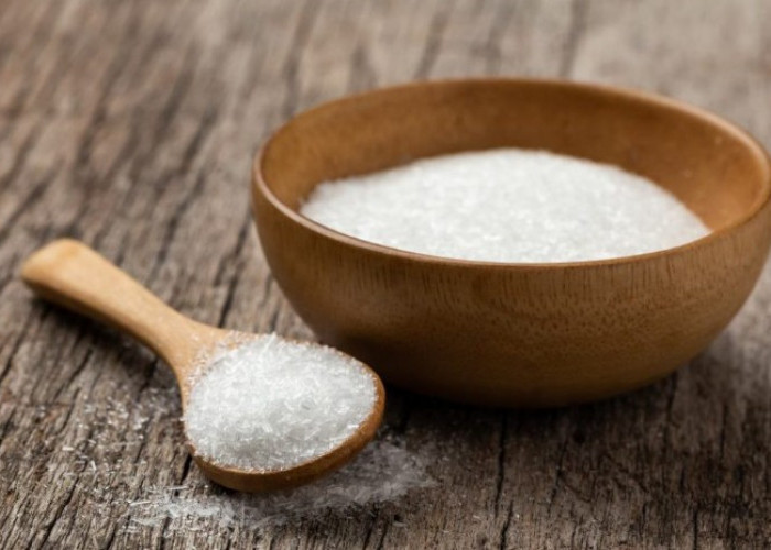 Efek Samping Micin bagi Kesehatan