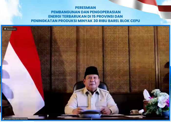 Prabowo Resmikan 47 PLTS, 5.383 Rumah Tangga 3T Kini Nikmati Listrik