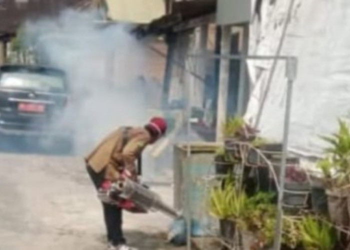 Waspada DBD! Puskesmas Buay Pemaca Imbau Warga Terapkan Gerakan 3M Plus