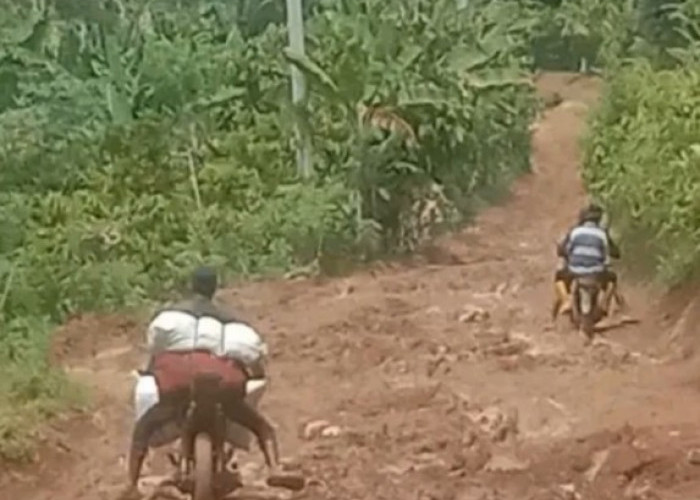 Jalan Berlumpur Saat Hujan, Warga Menanti Perbaikan