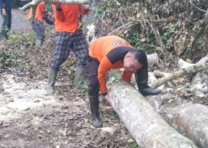 Tetapkan Siaga Darurat Banjir dan Longsor, 9 Kecamatan Masuk Zona Rawan