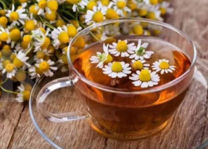 Keajaiban Bunga Chamomile untuk Kesehatan Anda