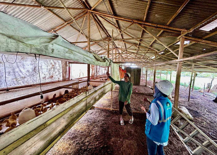 Modernisasi Sektor Industri Primer, Lebih dari 390 Ribu Pelanggan Manfaatkan ProgramEA-EM PLN Hingga 2025