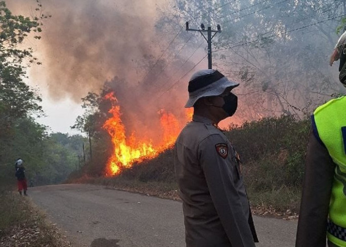 10 Hektar Lahan di OKU Milik PT Sumbawa Terbakar