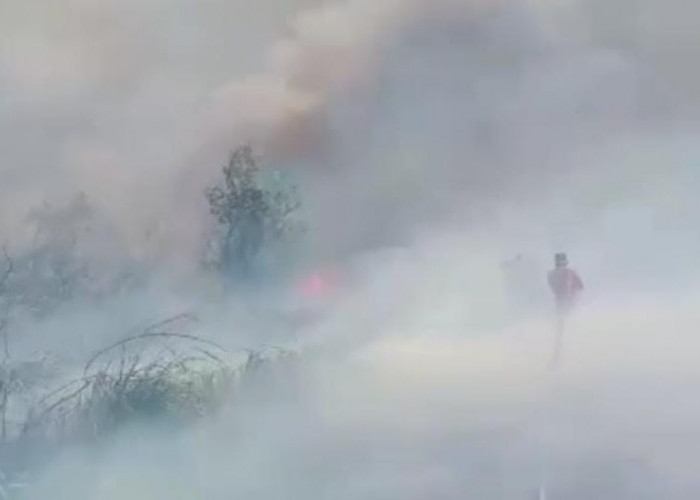 Kebakaran lahan nyaris bakar empat rumah warga di Ogan Ilir