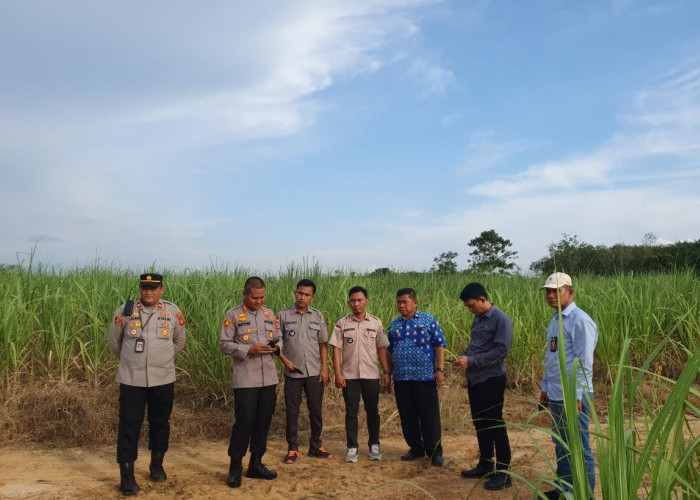 56 Hektar Lahan di Belitang Sengketa
