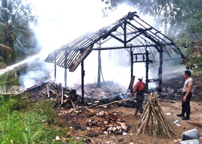 INNALILLAHI, Satu Rumah Panggung di OKU Ludes Terbakar, Begini Penjelasan Kapolsek Sinar Peninjauan 