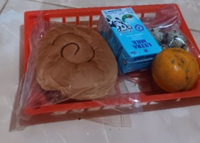 Program MBG di OKU Selatan Disorot, Menu Dinilai Jauh dari Standar Gizi