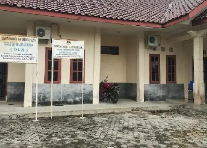 DLH OKU Selatan Siap Tindak Tambang Emas Ilegal 