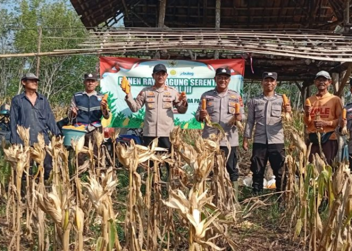 Petani di OKU Jaga Ketahanan Pangan Nasional