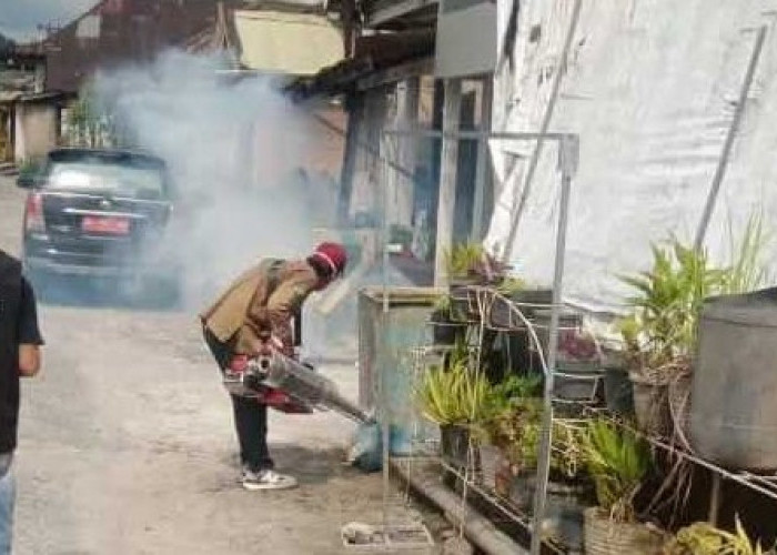 Cegah Penyebaran DBD dan Malaria,  Gencarkan Lakukan Fogging