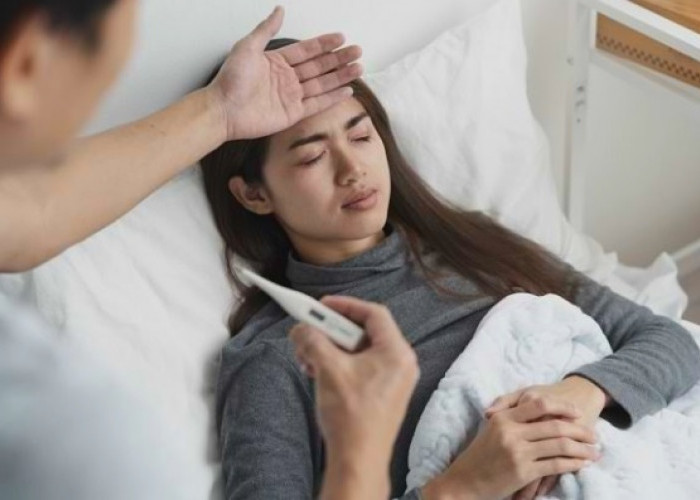Demam Berdarah Bisa Sembuh di Rumah? Ini Syarat dan Cara Aman Merawatnya