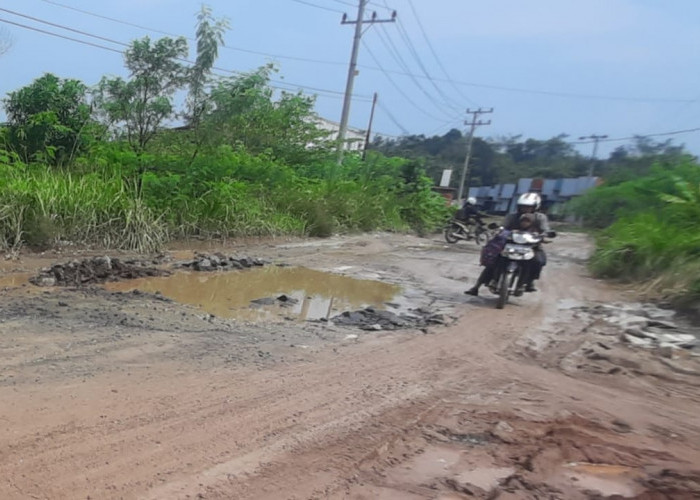 Bosan Jalan Tak Kunjung Diperbaiki, Warga Terpaksa Pindah Rumah