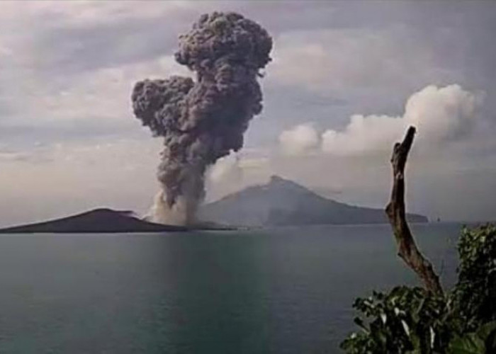 Anak Krakatau Erupsi, Masyarakat Diminta Menjauh