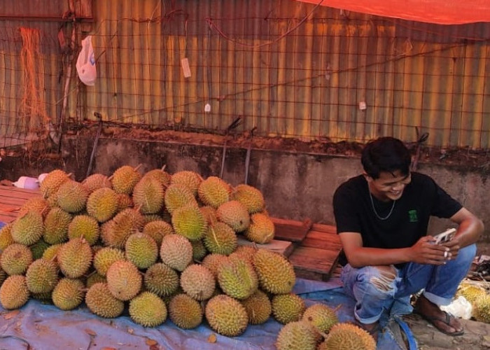 Durian Penuhi Baturaja, Tembaga dan Bantal Paling Diburu,Begini Cara Memilih yang Matang