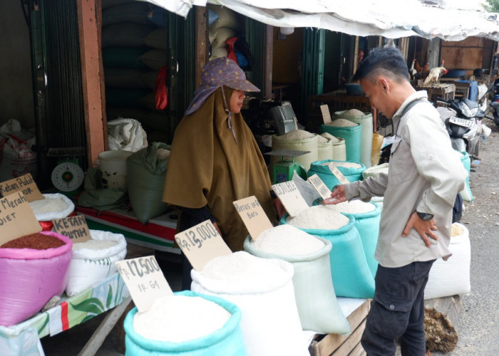 Harga Beras Hari ini di Baturaja Membumbung TInggi kualitas rendah hingga premium