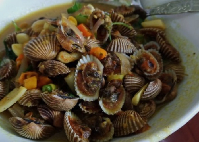 Olahan Kerang Dara Lezat dan Bernutrisi, Favorit Seafood Nusantara