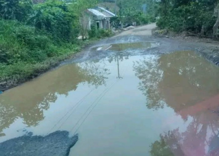 Jalan Muaradua–Kisam Rusak Parah, Warga OKU Selatan Kian Resah