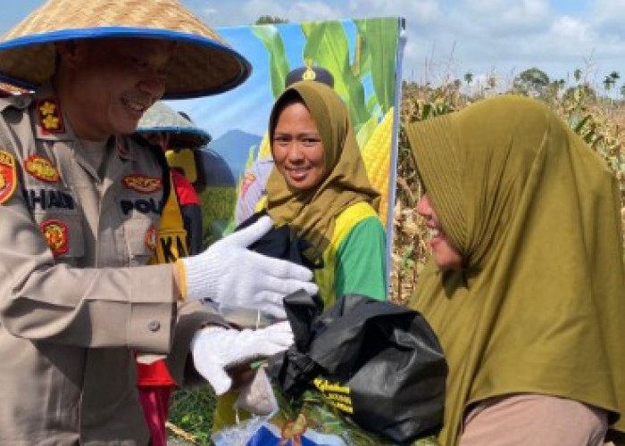 Jaga Ketahanan Pangan, Lakukan Panen Raya Jagung