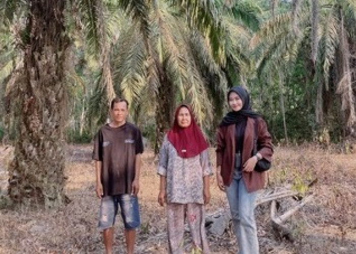 Menyusuri Perkebunan Sawit dan Karet, Mantri BRI Menjaga Akses Keuangan di Sumatera Selatan