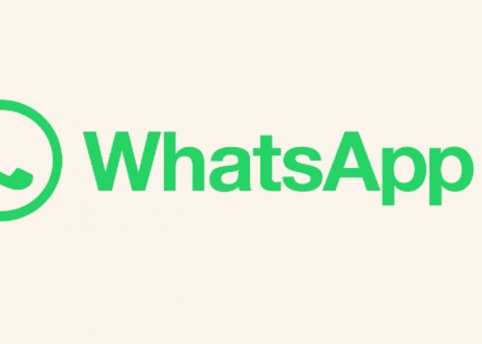 WhatsApp Siapkan Fitur Baru Tema Chat Default