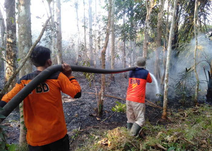 Lagi, BPBD OKU Laporkan 17 Hektare Lahan Terbakar