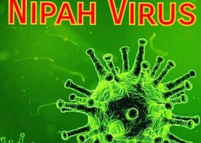 Wabah Virus Nipah Kembali Merebak di India, Indonesia? Tingkatkan Kewaspadaan