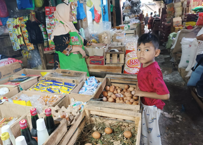 Update Harga Telur Ayam di Baturaja OKU Naik Rp 1000 Rabu 21 Juni 2023